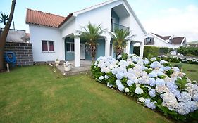 Casinha das Hortênsias