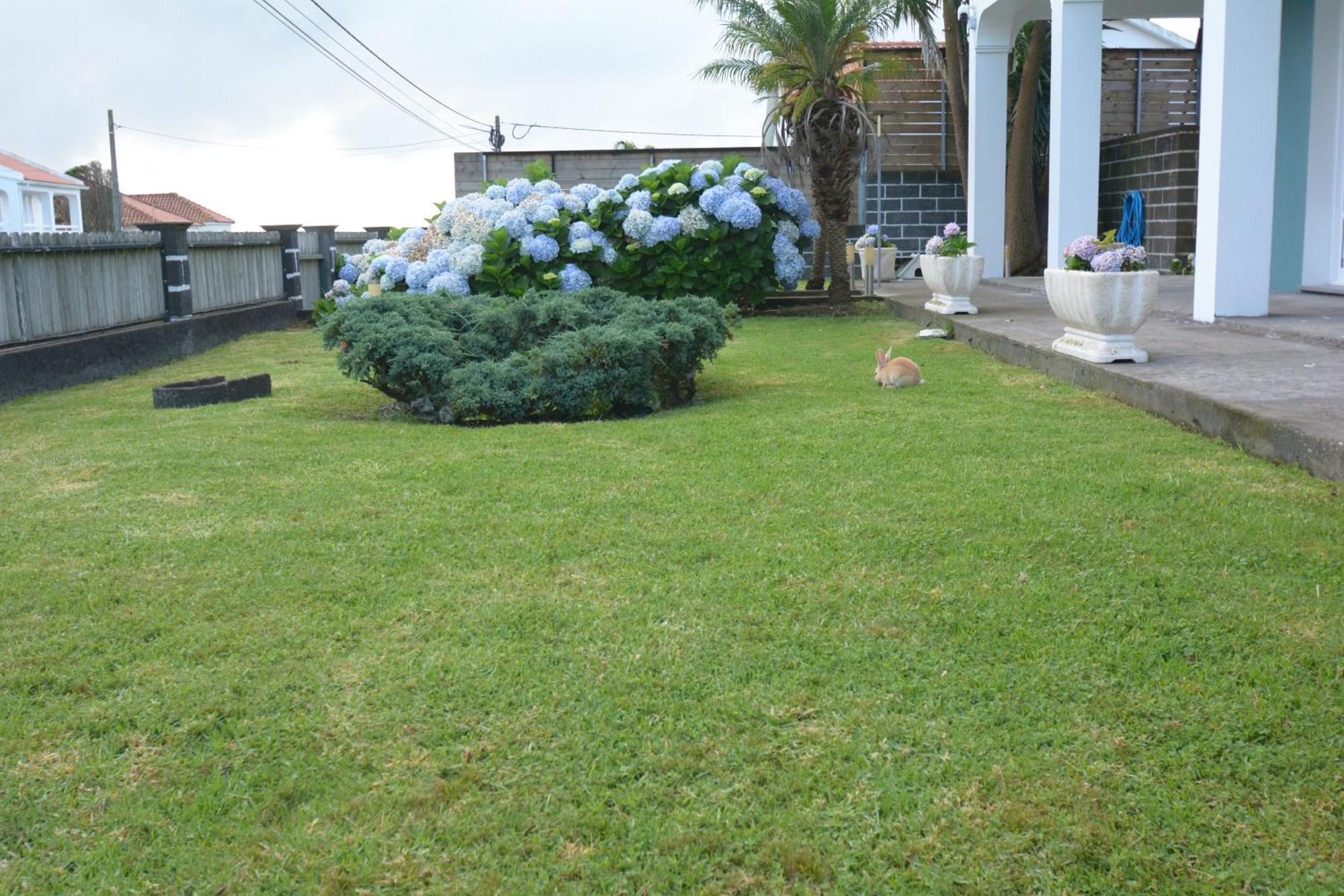 Casinha das Hortênsias Apartamento Horta  Exterior foto