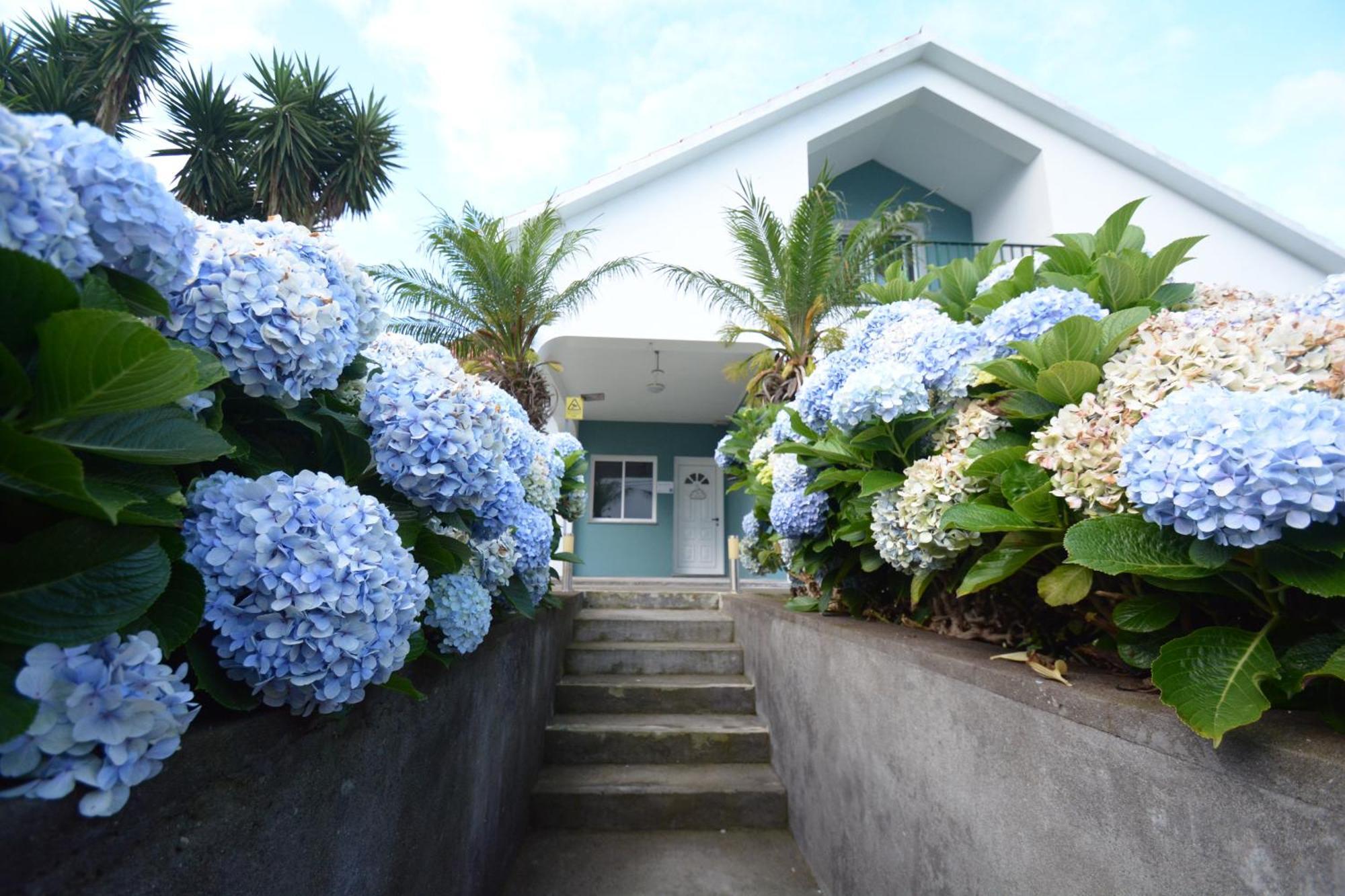Casinha das Hortênsias Apartamento Horta  Exterior foto