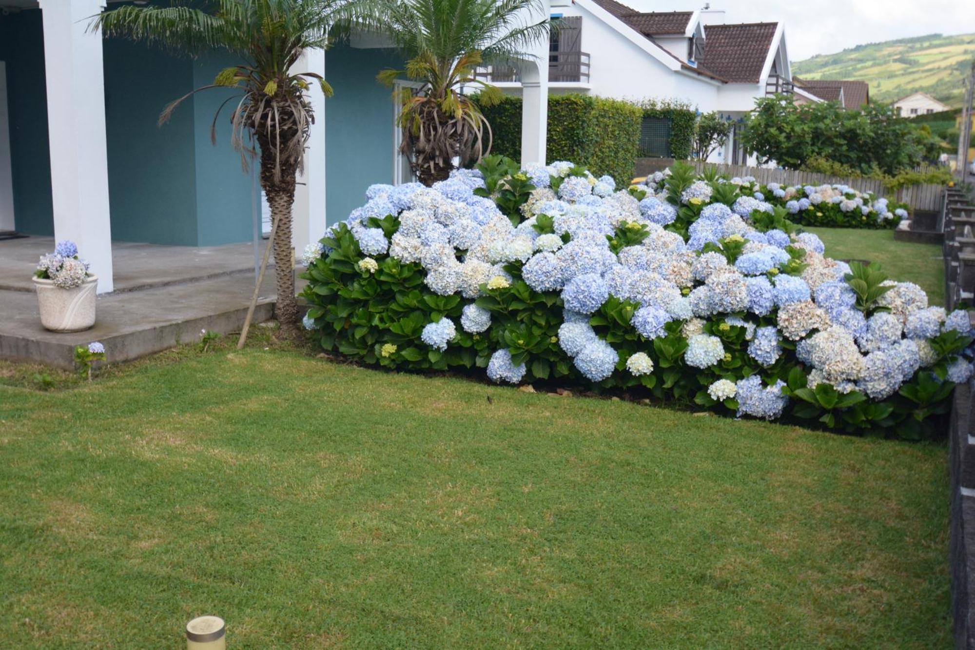 Casinha das Hortênsias Apartamento Horta  Exterior foto