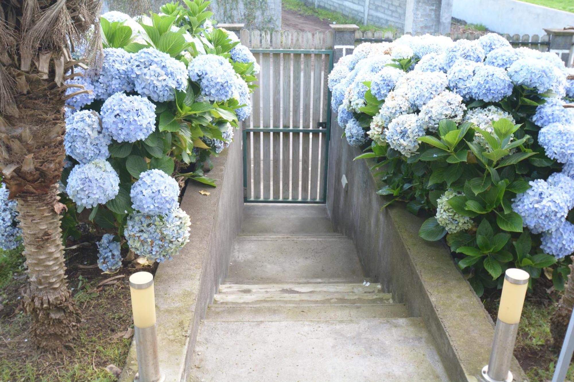 Casinha das Hortênsias Apartamento Horta  Exterior foto